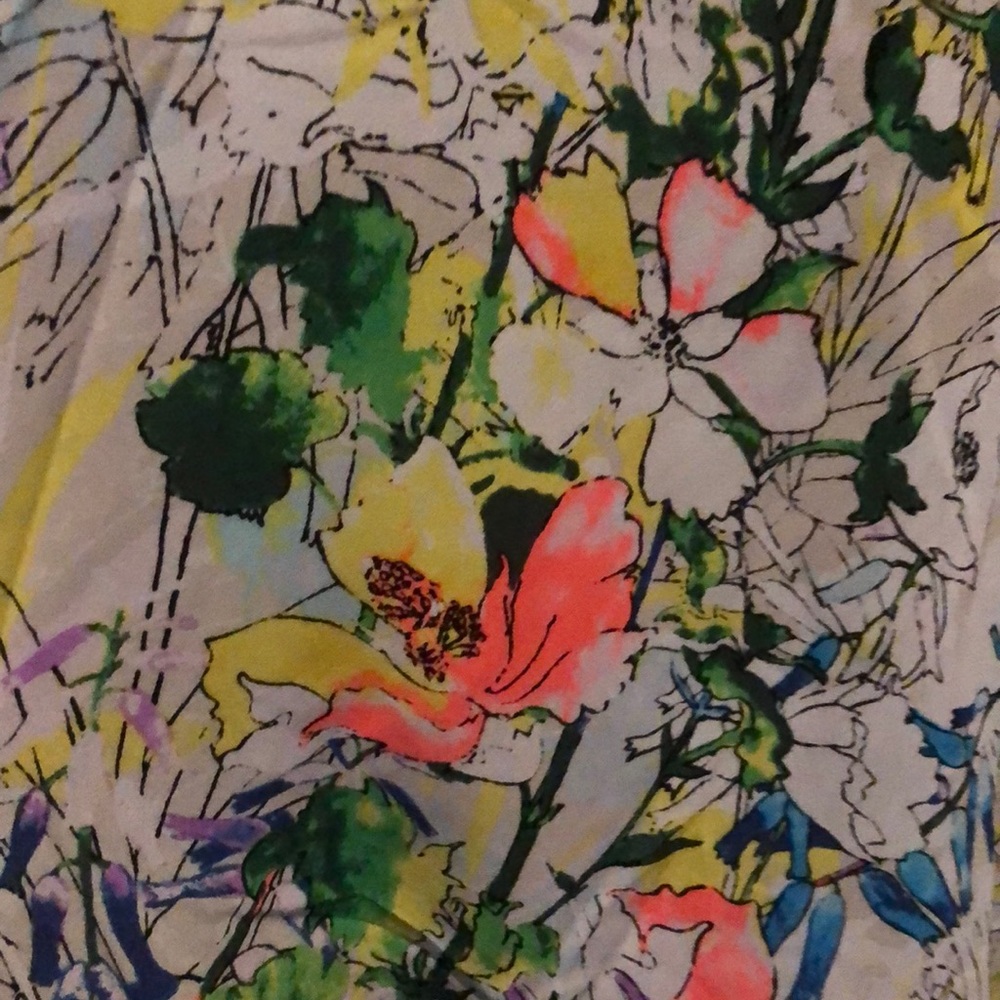 Express Dress - Picture 3 of 4